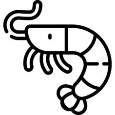 Shrimp