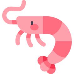 Shrimp