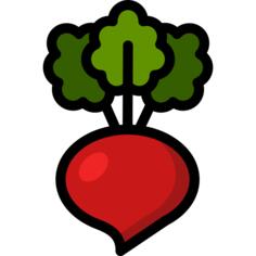 Radish