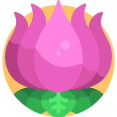 莲花