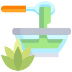 Agave