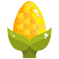 Corn