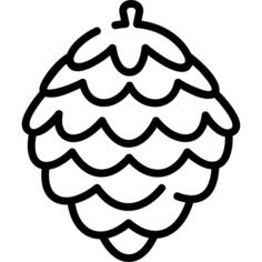 Pine cone