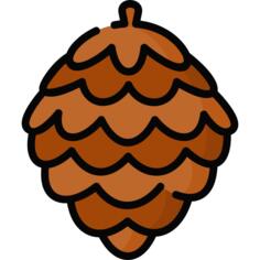 Pine cone