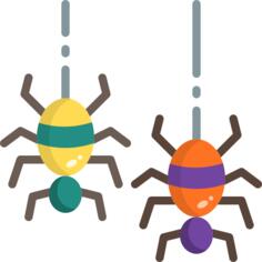 Spider