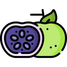 Sapote