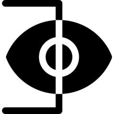 Eye scan