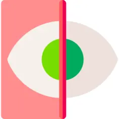 Eye scan