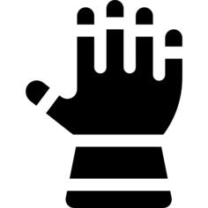 Glove