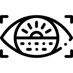 眼部扫描