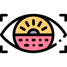 眼部扫描