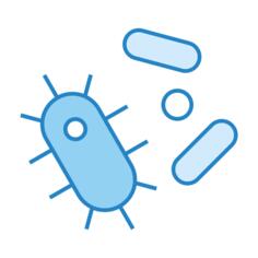 Bacteria