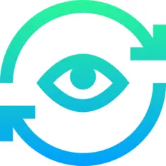Vision