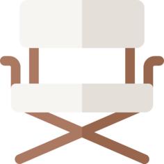 Director chair
