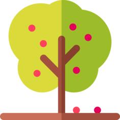 Apple tree