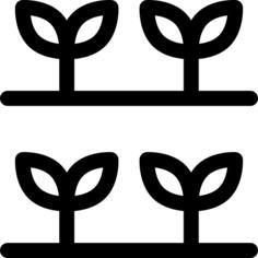 豆芽