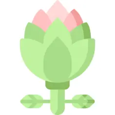 Artichoke