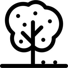 Apple tree