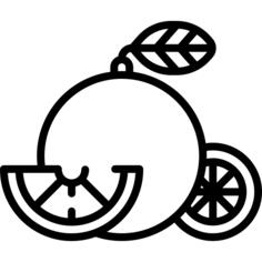 橘子