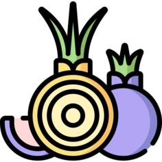 Onion
