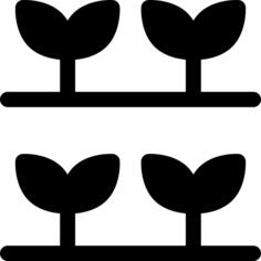 豆芽