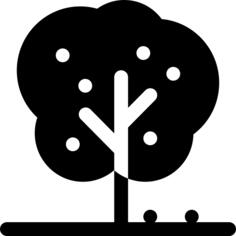 Apple tree