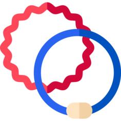 Elastic band