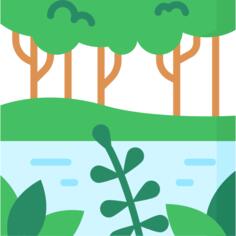 Jungle