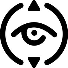 视力