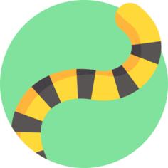 Tail