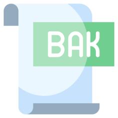 Bak文件