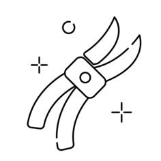 Pruner