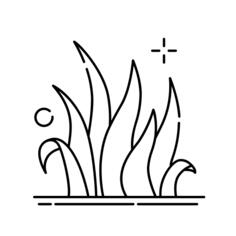 Grass