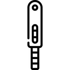 Pregnancy test