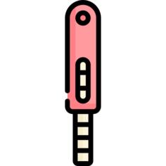 Pregnancy test