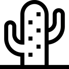 Cactus