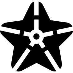 海星