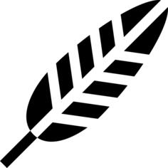 羽毛