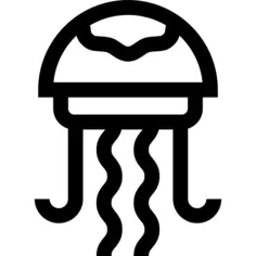 Jellyfish