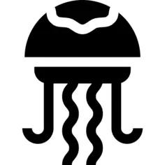 Jellyfish