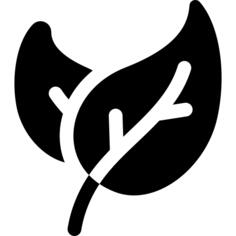 茶