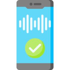 Voice recognition