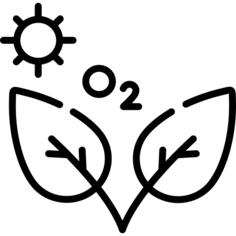 光合作用
