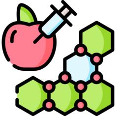 Gmo