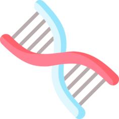 脱氧核糖核酸