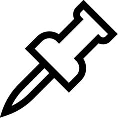 Pin