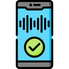 Voice recognition