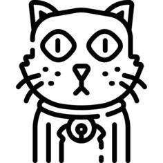 Black cat