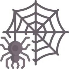 蜘蛛网