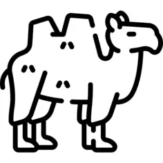 Camel